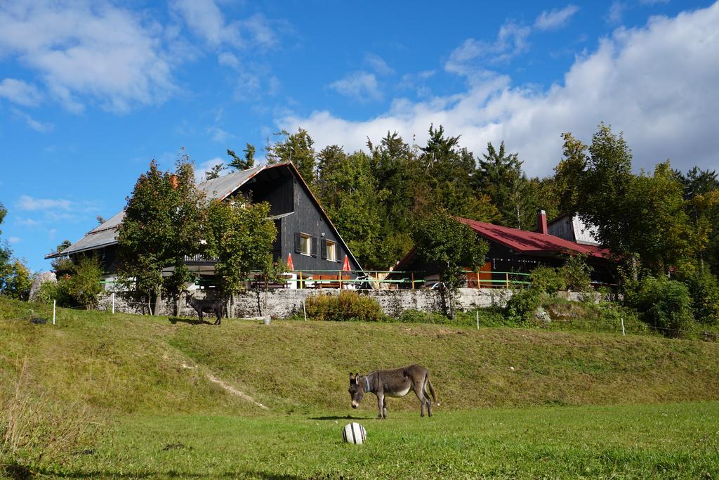 Guest House Beli Kamen Vojsko Exteriér fotografie