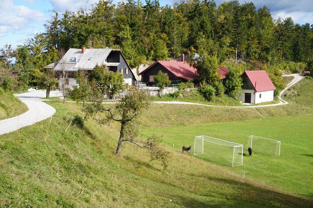Guest House Beli Kamen Vojsko Exteriér fotografie